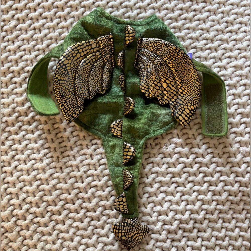 Dragon Pet Costume size small